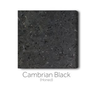 Cambrian Black (Honed)