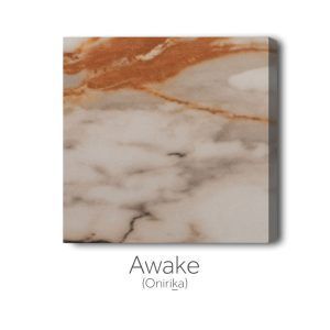 Awake