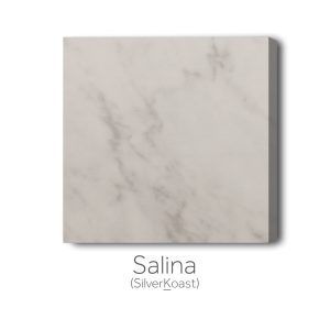 Salina