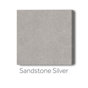 Sandstone Silver