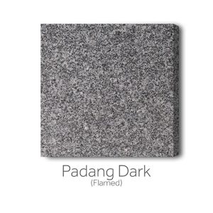 Padang Dark-Flamed